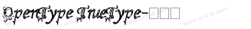 OpenType TrueType字体转换